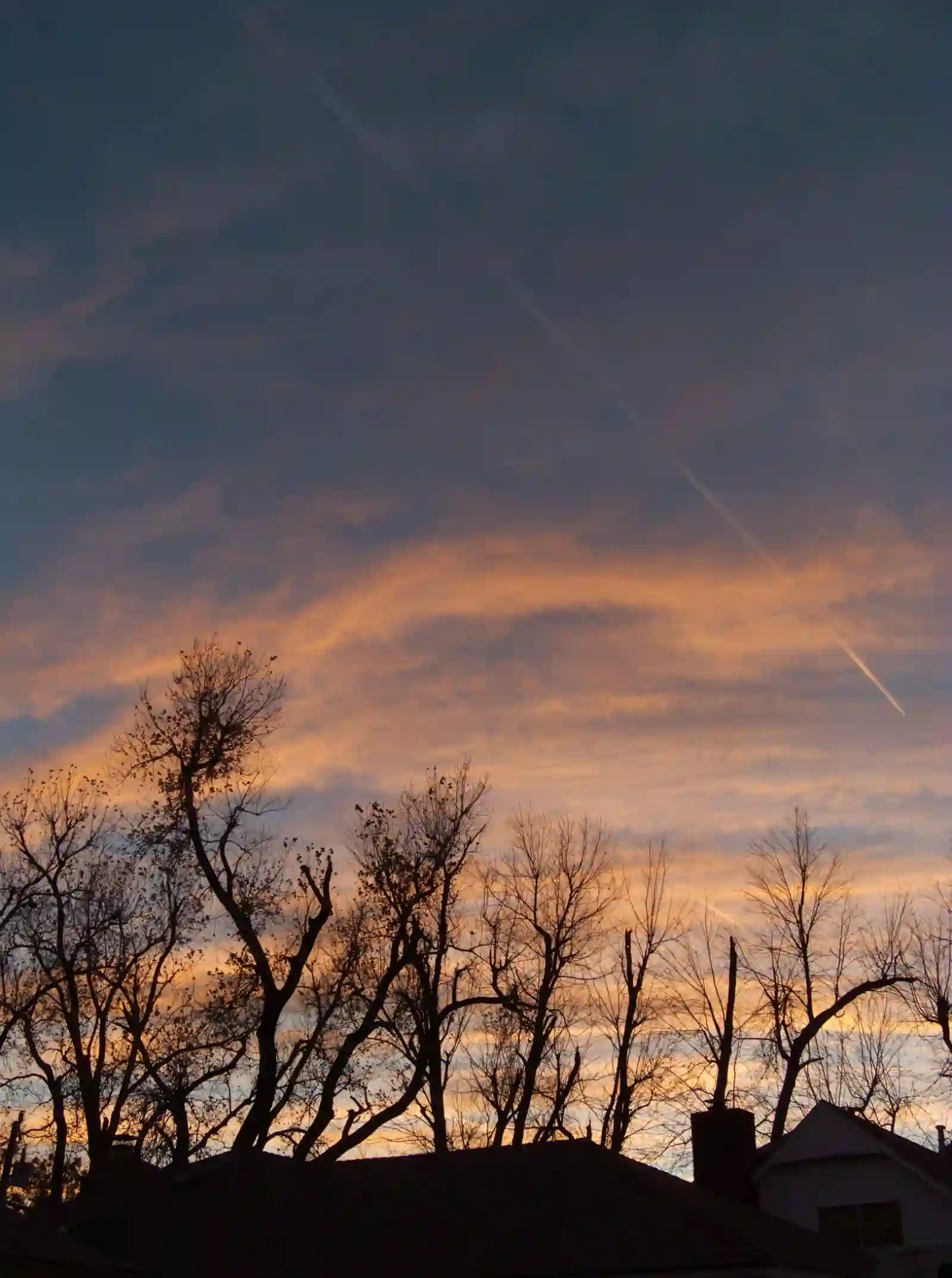 A rooftop and some trees silhouetted in the foreground of a cloudy sunset. An exhaust trail from a airliner bisects the sky.